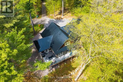 Privacy abounds amidst the trees - 30 Stephen Road, Muskoka Lakes (Medora), ON - Outdoor With Deck Patio Veranda