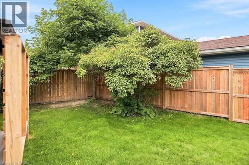 Grassy yard area featuring natural wood fencing and mature trees - 67 Weber Street S, Waterloo, ON - Outdoor