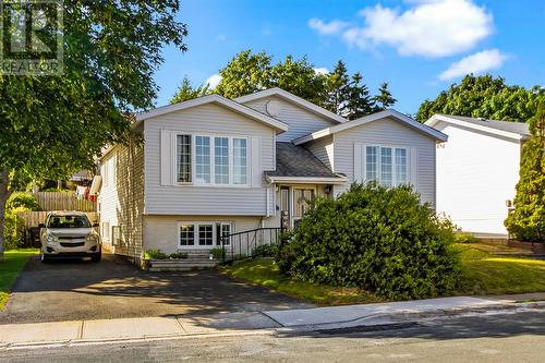 15 Hopeall Street  St. John's, NL A1E 5R4