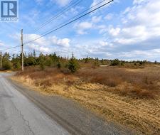 163 Ridge Road Spaniard's Bay, NL A0A 3X0