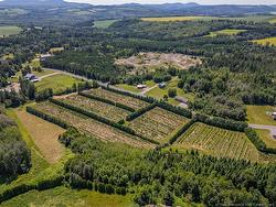 54 Sutherland Brook RD  Dsl De Drummond/Dsl Of Drummond, NB E3Y 2L6