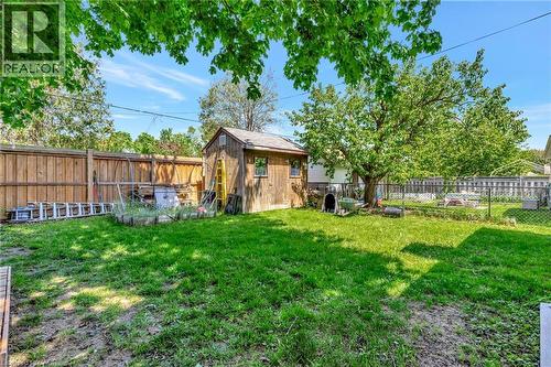 Expansive backyard featuring a wood-sided shed with a shingled roof, a mature tree, and a chain-link fence - 98 Belwood Crescent, Kitchener, ON - Outdoor