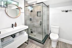 Lower Level Bathroom - 