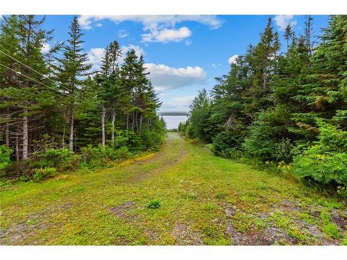 102 Main Road, Bellevue, NL - Outdoor With View