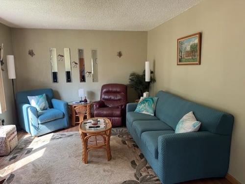 129 Ray Boulevard, Thunder Bay, ON - Indoor Photo Showing Living Room