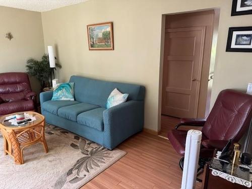 129 Ray Boulevard, Thunder Bay, ON - Indoor Photo Showing Living Room