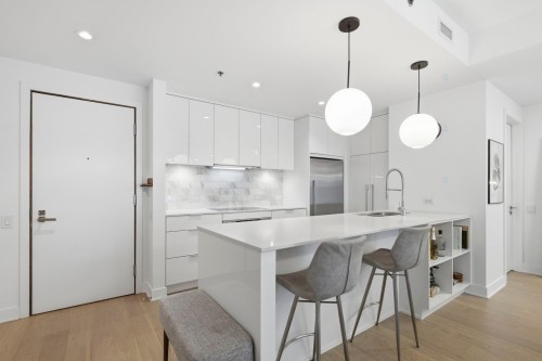 Cuisine - 535-1500 Rue Des Bassins, Montréal (Le Sud-Ouest), QC - Indoor Photo Showing Kitchen With Upgraded Kitchen