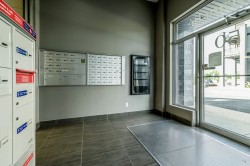 Hall d'entrée/Vestibule - 