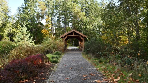 #306-1114 Samar Cres, Langford, BC - Outdoor