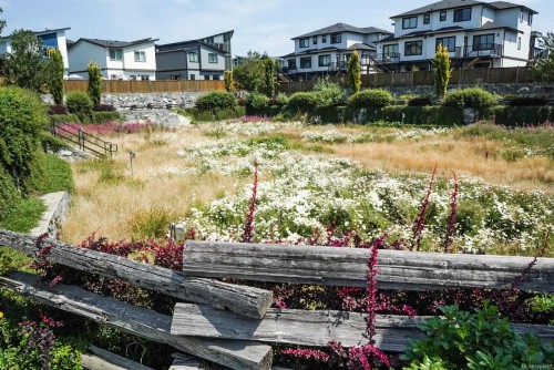 #304-1114 Samar Cres, Langford, BC - Outdoor