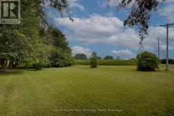 View of lawn east of home. - 