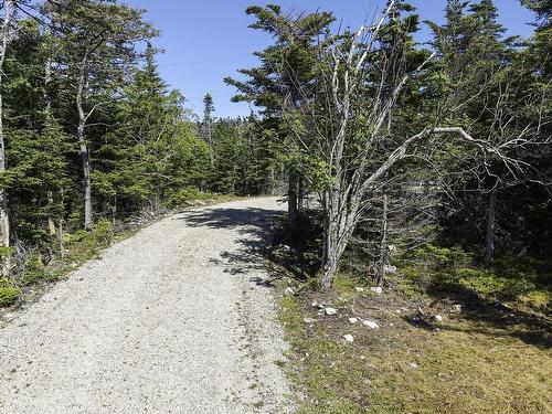Lot 22 Thomas Road, Cape Forchu, NS 