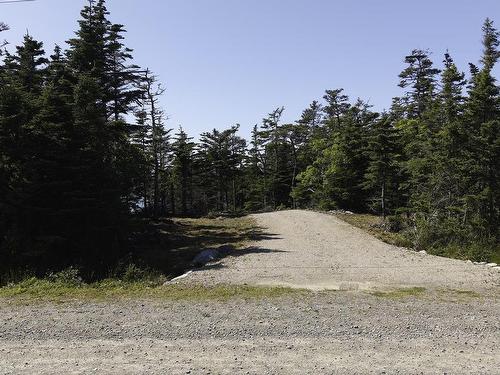 Lot 22 Thomas Road, Cape Forchu, NS 