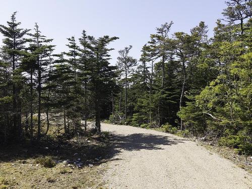 Lot 22 Thomas Road, Cape Forchu, NS 
