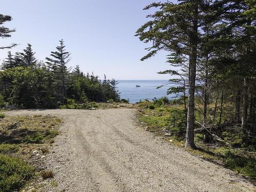 Lot 22 Thomas Road, Cape Forchu, NS 