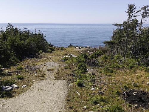 Lot 22 Thomas Road, Cape Forchu, NS 