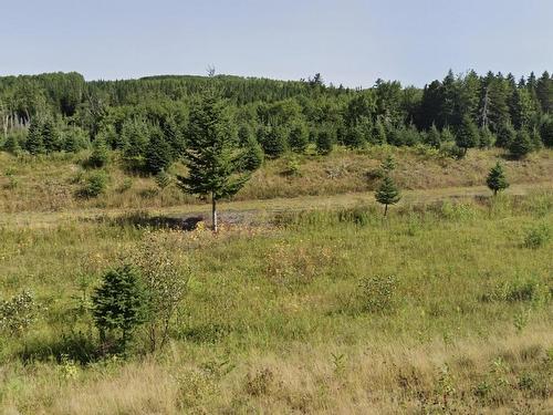3629 Forties Road, Franey Corner, NS 