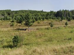 3629 Forties Road  Franey Corner, NS B0J 2M0