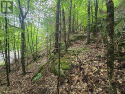 107 BALSAM CHUTES ROAD Huntsville (Stephenson), ON P0B 1L0
