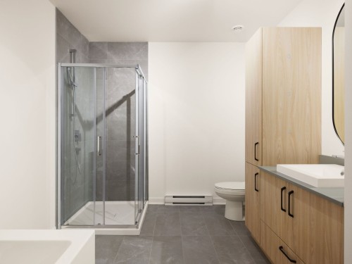Salle de bains - 203-465 Rue Lafleur, Brownsburg-Chatham, QC - Indoor Photo Showing Bathroom