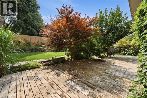 Expansive wood deck with a mature tree canopy - 266 Ferndale Place, Waterloo, ON - Outdoor With Deck Patio Veranda