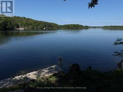 36 ST OLA LAKE SHORE E  Limerick, ON K0L 1W0