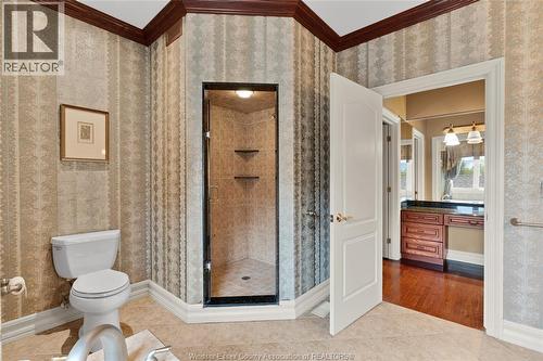 1585 Stoneybrook Crescent, Windsor, ON - Indoor Photo Showing Bathroom