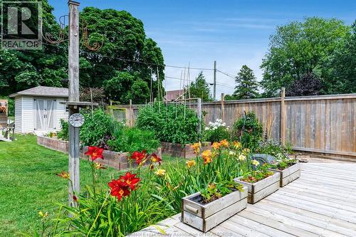 9 Margaret, Leamington, ON - Outdoor