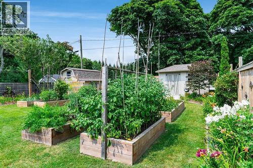 9 Margaret, Leamington, ON - Outdoor