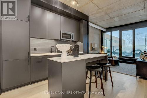 217 - 10 James Street, Ottawa, ON - Indoor Photo Showing Kitchen