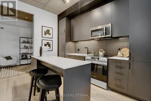 217 - 10 James Street, Ottawa, ON - Indoor Photo Showing Kitchen With Upgraded Kitchen
