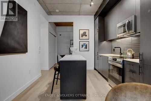 217 - 10 James Street, Ottawa, ON - Indoor Photo Showing Kitchen