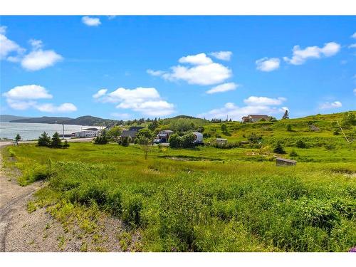 0 Bareneed Road, Bareneed, NL 
