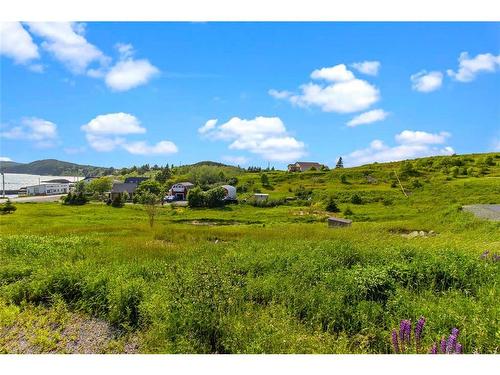 0 Bareneed Road, Bareneed, NL 