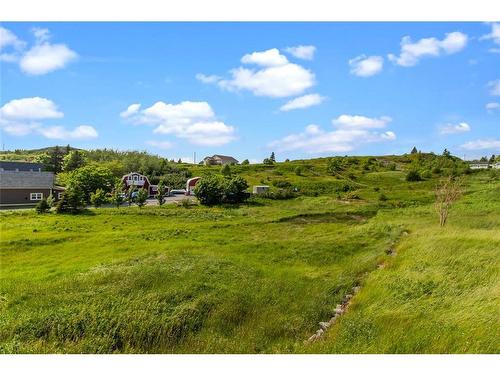 0 Bareneed Road, Bareneed, NL 