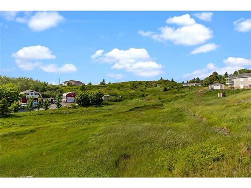 0 Bareneed Road, Bareneed, NL 