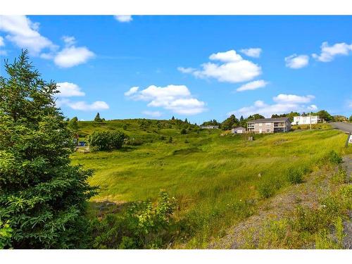 0 Bareneed Road, Bareneed, NL 