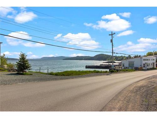 0 Bareneed Road, Bareneed, NL 