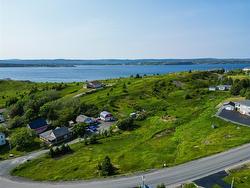 0 Bareneed Road Bareneed, NL A0A 1W0