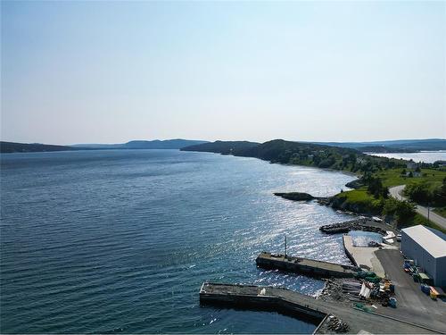 0 Bareneed Road, Bareneed, NL 