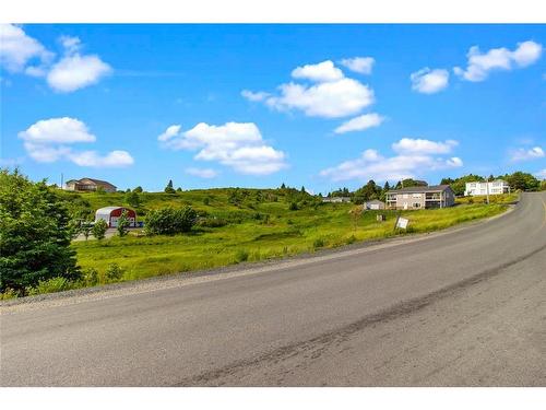 0 Bareneed Road, Bareneed, NL 