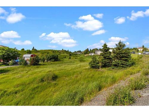 0 Bareneed Road, Bareneed, NL 