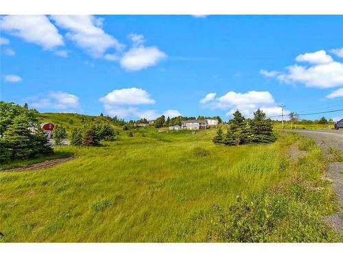 0 Bareneed Road, Bareneed, NL 
