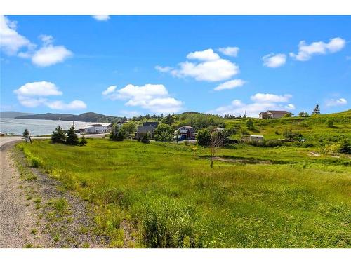 0 Bareneed Road, Bareneed, NL 