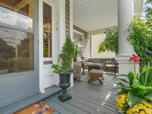 159 Almont Avenue, New Glasgow, NS - Outdoor With Deck Patio Veranda With Exterior