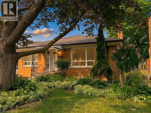 Brick exterior residence featuring a front yard with mature trees, manicured lawn, and planted garden beds - 20 Lloyd Manor Road, Etobicoke, ON - Outdoor With Deck Patio Veranda