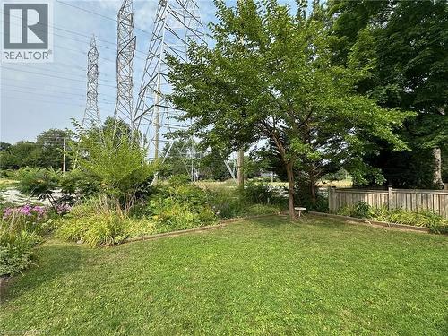Lush green lawn surrounded by mature trees, varied plantings, and a wooden privacy fence - 20 Lloyd Manor Road, Etobicoke, ON - Outdoor