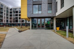 Entry - 