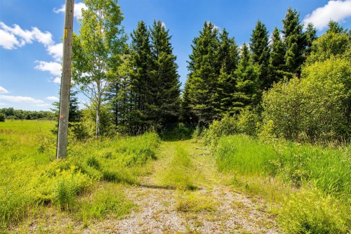 Terre/Terrain - 1461 Ch. Croteau, Amos, QC - Outdoor With View