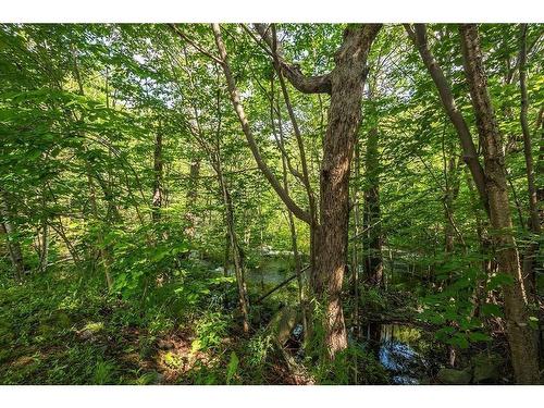1 41 Moirs Mill Road, Bedford, NS - Outdoor